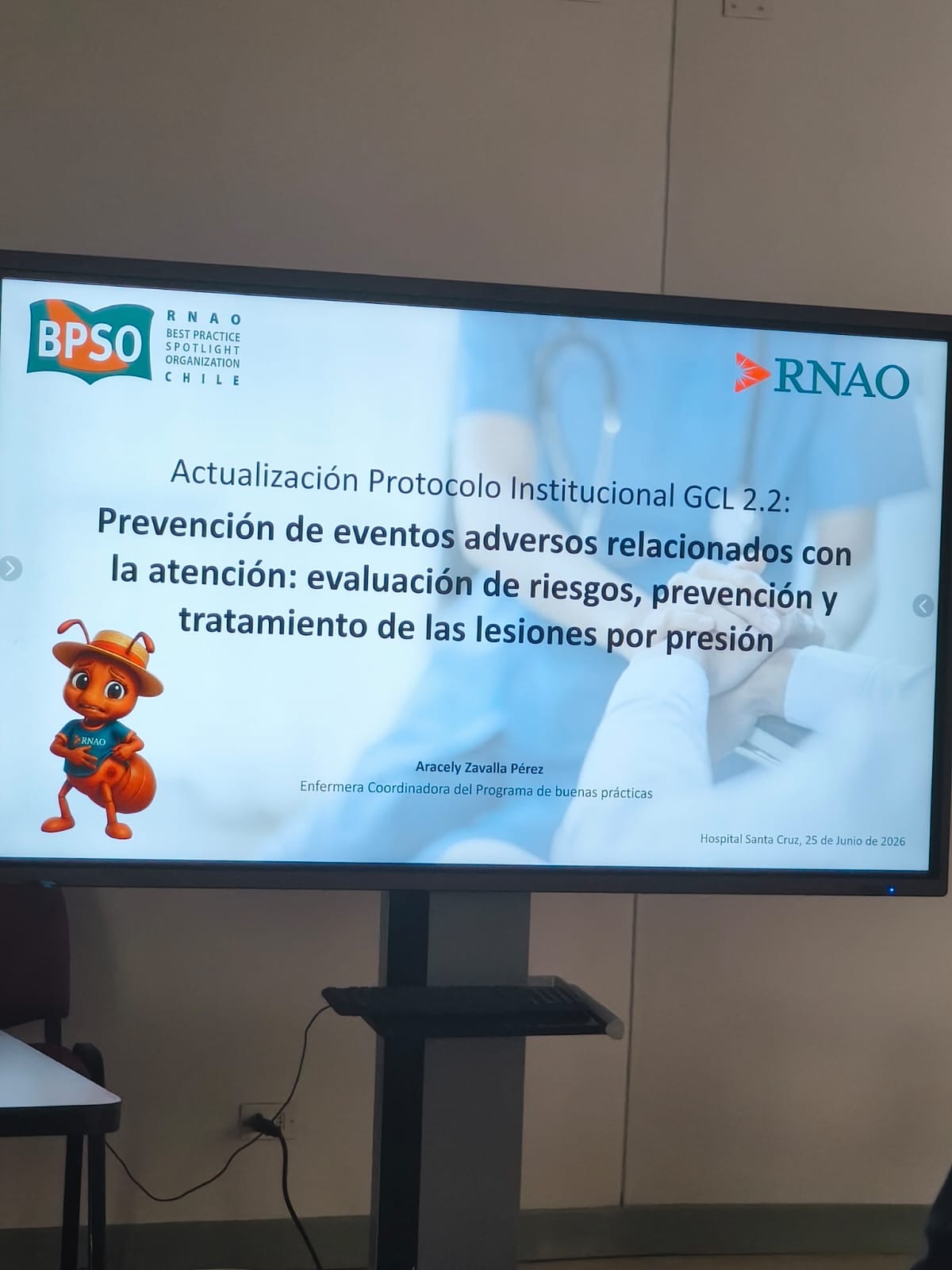 Lanzamiento Protocolo institucional LPP con recomendaciones RNAO